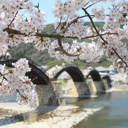 Ивакуни. По следам самураев — в гармонии с природой